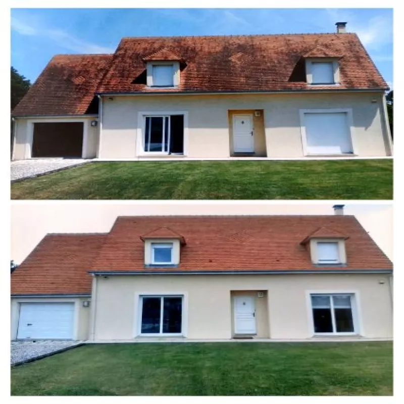 démoussage toiture en tuiles