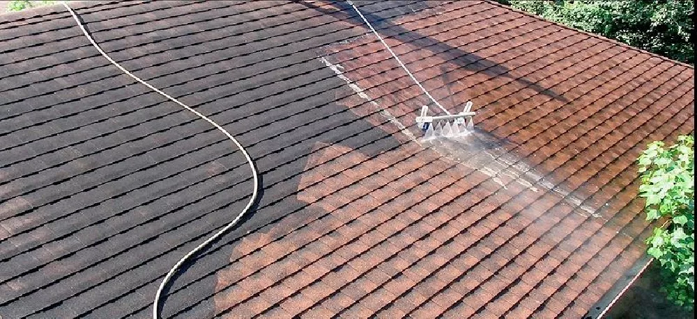 Service de nettoyage de couverture, façade, terrasse et allée de jardin  